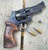 M1950 Target with Taffin grips.jpg