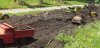 2016 garlic patch soil prep V 650px.jpg