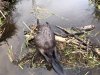 9BD89119-C085-4297-B6B6-C3A93AEB5254.jpeg