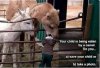 Child eaten by camel.jpg