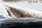 20210303_215155.jpg 20210303_215155.jpg
