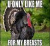 turkey breasts.jpg