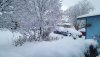 Snow (Dec 2016).jpg Snow (Dec 2016).jpg