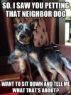 neighbors dog.jpg