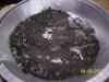 100_4506.JPG 100_4506.JPG