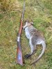 Jeff in NZ 40 cal muzzloader and wallaby50%.jpg