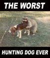 worst hunting dog ever.jpg