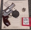 S&W 610 and target2.jpg