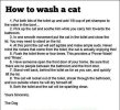 wash cat.jpg
