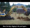 Burying Bones the Easy Way.jpg