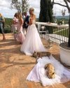 Wedding Dogs.jpg