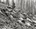 SHORPY-civil-defense-air-raid-drill_49774227527.jpg