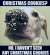 christmas cookies.jpg