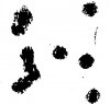 Smokeless_Loads_04.jpg Smokeless_Loads_04.jpg