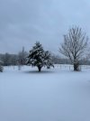 IMG_4365.jpeg