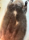 IMG_3897.jpeg