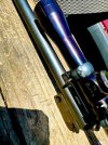 IMG_4436.jpeg