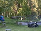 IMG_6668.jpeg
