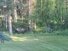 IMG_6684.jpeg