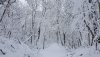 rps20190115_233615.jpg rps20190115_233615.jpg
