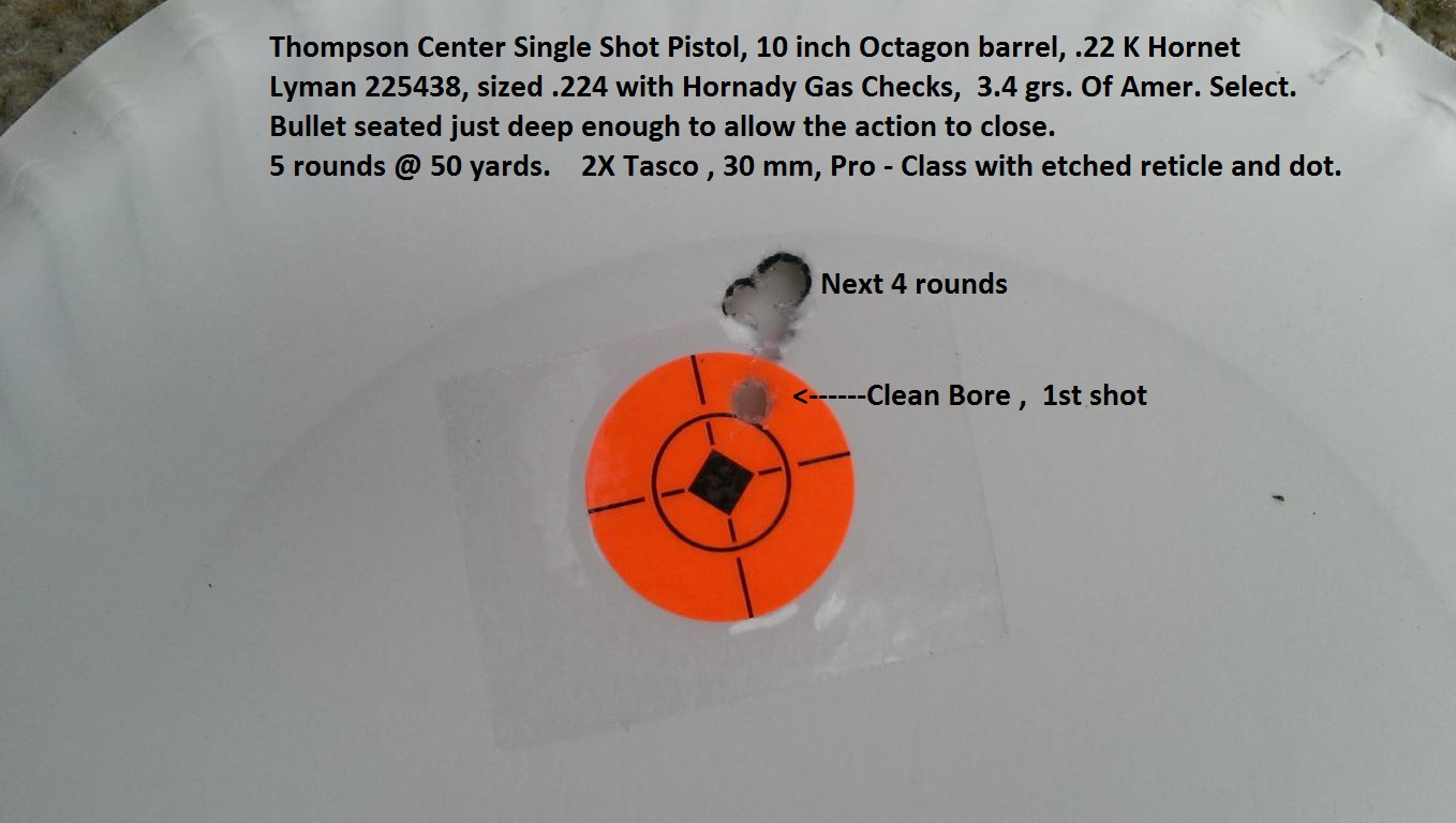 22 hornet loads accuracy